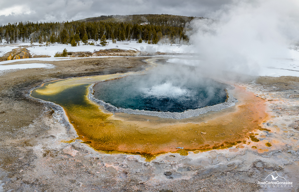 Yellowstone -  Crested Pool