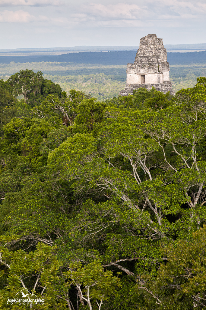 Pirámides de Tikal