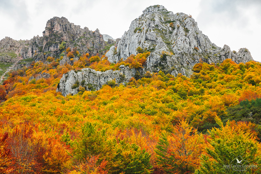 Autumn Mountains