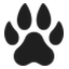 fauna4