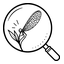 icono_macro_64_RGBA_transparente